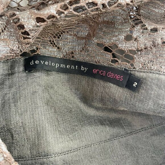 Development by Erica Davies Lace Silk Mini Cocktail Dress Gray 2 Flutter Sleeve - Picture 5 of 7